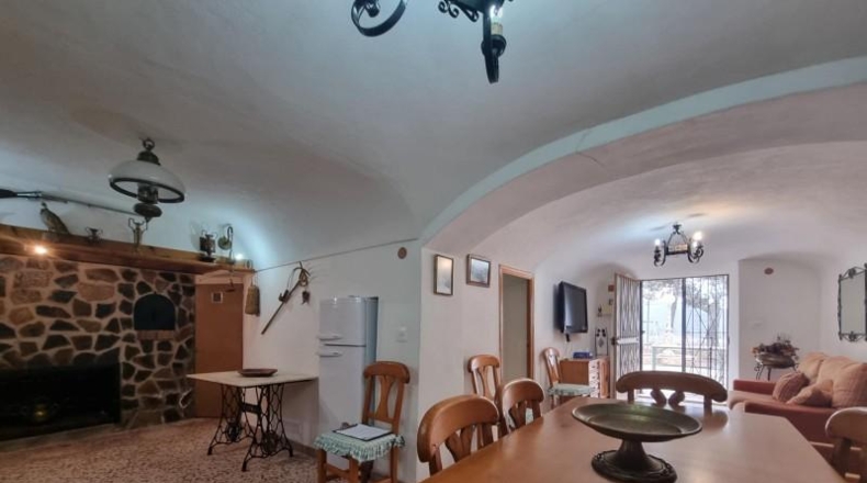 Alicante - Pinoso - 10496m2