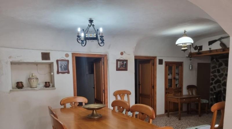 Alicante - Pinoso - 10496m2