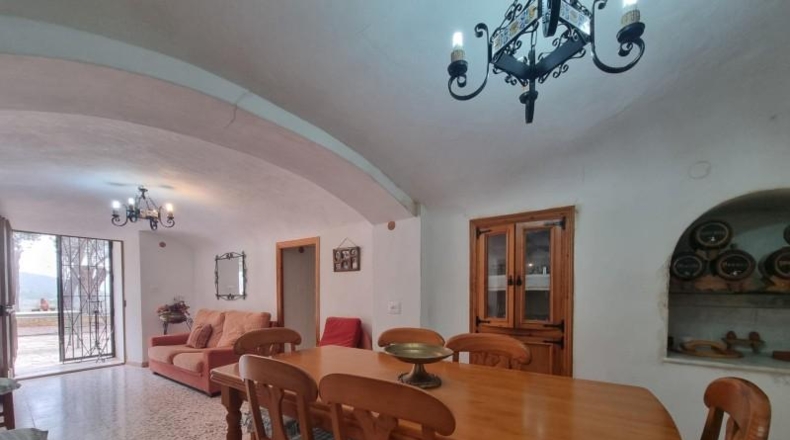 Alicante - Pinoso - 10496m2