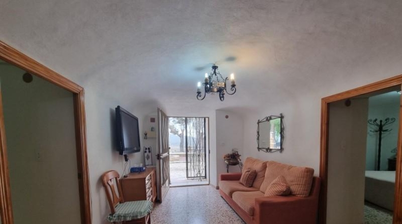 Alicante - Pinoso - 10496m2