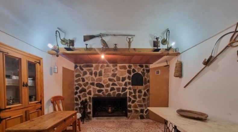Alicante - Pinoso - 10496m2