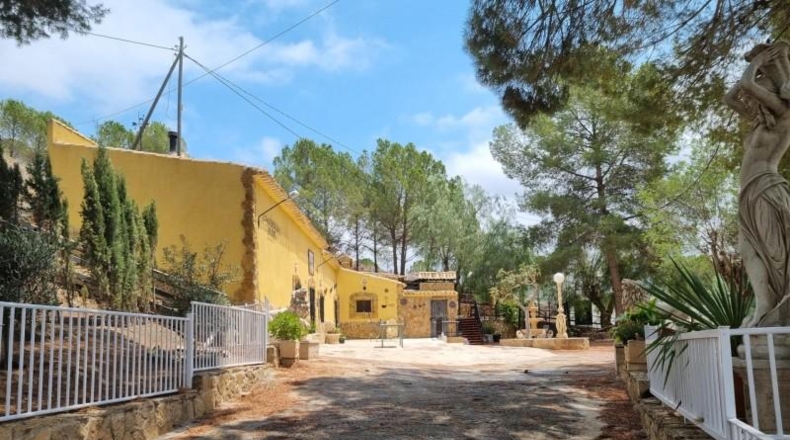 Alicante - Pinoso - 10496m2