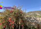 Xalet independent amb terreny en venda a la España, Cantoria, ref.: TR380846 foto