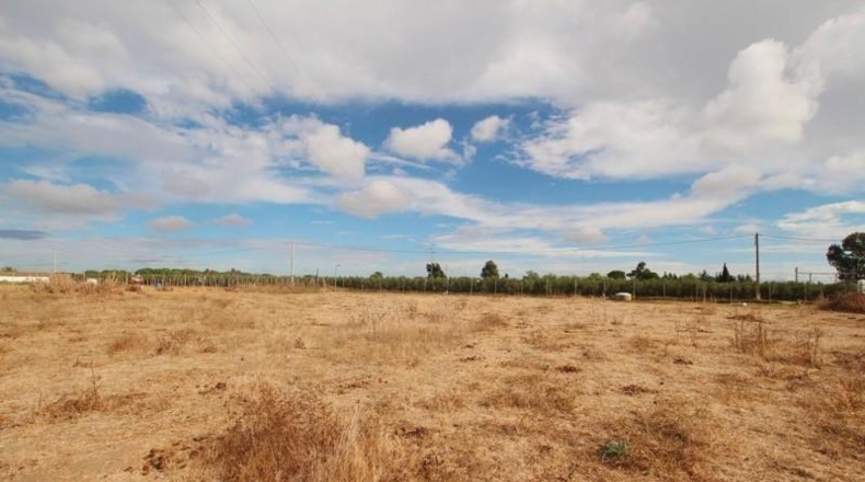 Cádiz - Jerez de la Frontera - 11385m2