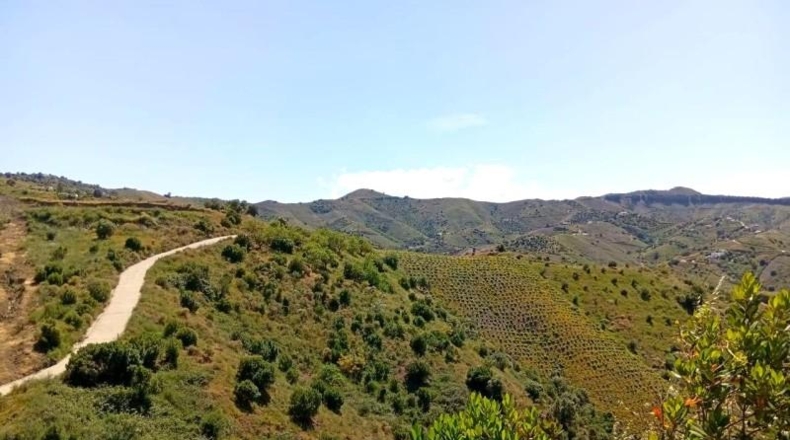 Málaga - Iznate - 2500m2