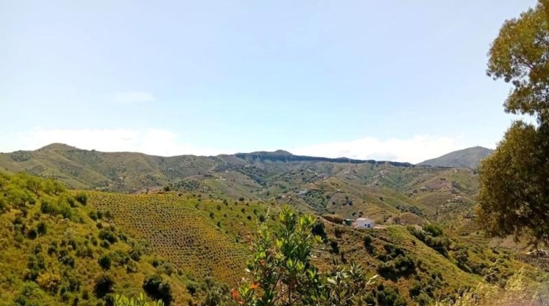 Málaga - Iznate - 2500m2