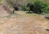 Casa de camp amb terreny en venda a la España, Iznate, ref.: TR244236 foto