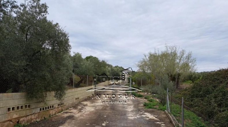 Córdoba - Lucena - 15442m2