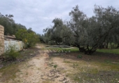 Xalet independent amb terreny en venda a la España, Lucena, ref.: TR242012 foto