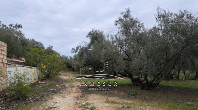 Córdoba - Lucena - 15442m2