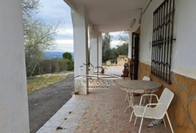 Foto 19