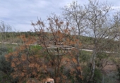 Xalet independent amb terreny en venda a la España, Lucena, ref.: TR242012 foto