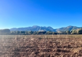 Detached villa with land for sale on España, Campanet, ref: TR222267 photo