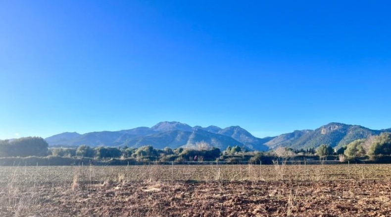 Balearic Islands - Campanet - 4476m2
