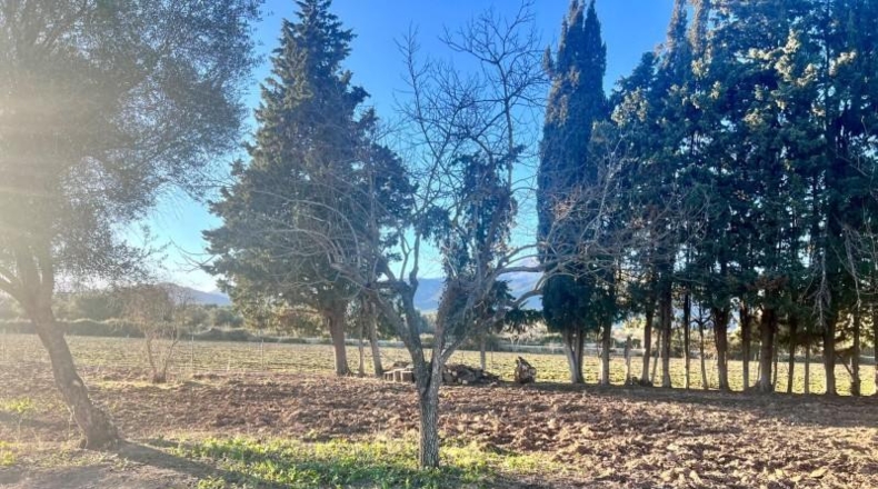Balearic Islands - Campanet - 4476m2