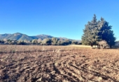 Detached villa with land for sale on España, Campanet, ref: TR222267 photo