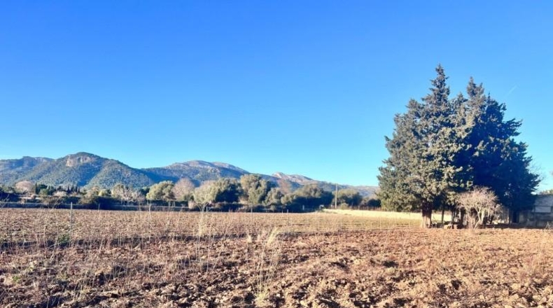 Balearic Islands - Campanet - 4476m2