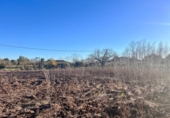 Detached villa with land for sale on España, Campanet, ref: TR222267 photo