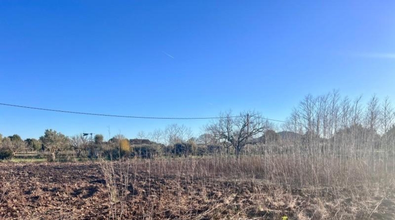 Balearic Islands - Campanet - 4476m2