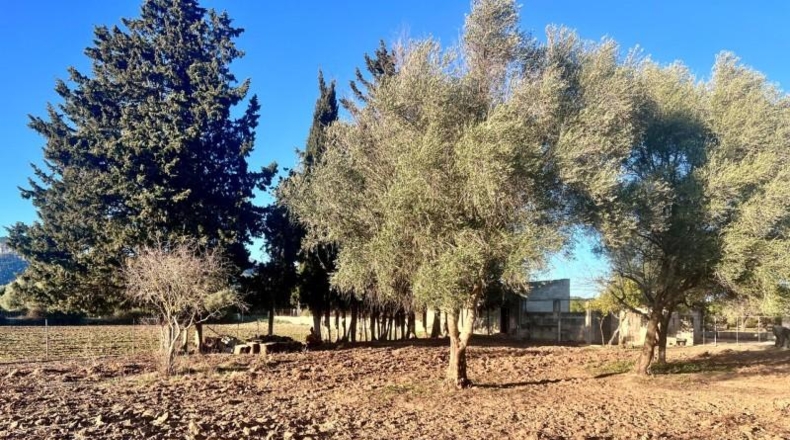 Balearic Islands - Campanet - 4476m2