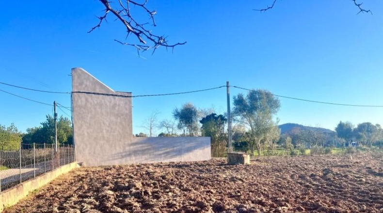 Balearic Islands - Campanet - 4476m2