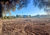 Detached villa with land for sale on España, Campanet, ref: TR222267 photo