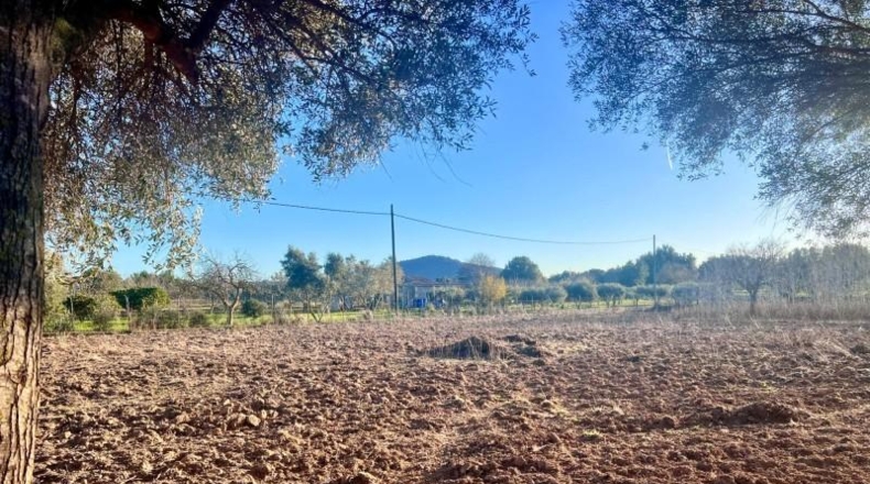 Balearic Islands - Campanet - 4476m2