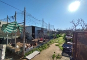 Casa de camp amb terreny en venda a la España, Chipiona, ref.: TR223763 foto