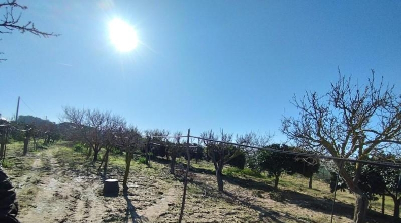 Cádiz - Chipiona - 3000m2