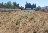 Parcel·la urbanitzable en venda a la España, Sanlúcar de Barrameda, ref.: TR223765 foto