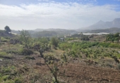 Terreny no urbanitzable en venda a la España, Callosa d'en Sarrià, ref.: TR235710 foto