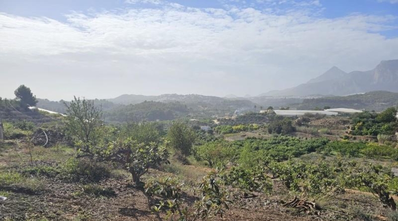 Alicante - Callosa de Ensarriá - 11000m2