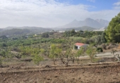 Terreny no urbanitzable en venda a la España, Callosa d'en Sarrià, ref.: TR235710 foto
