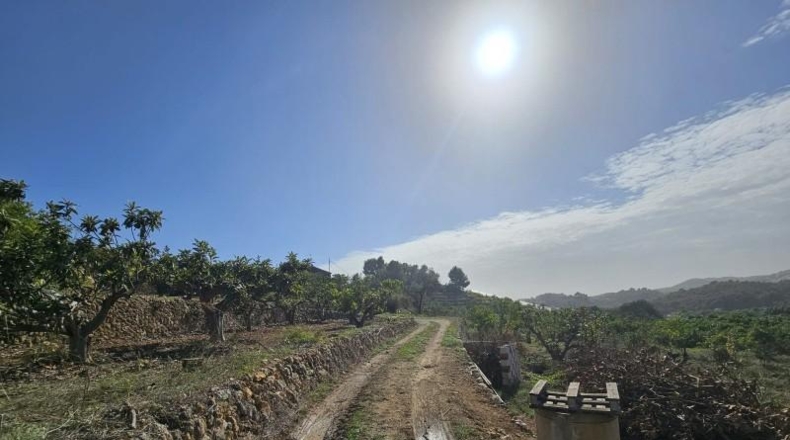 Alicante - Callosa de Ensarriá - 11000m2
