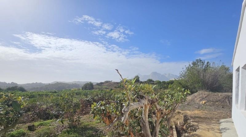 Alicante - Callosa de Ensarriá - 11000m2