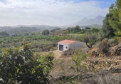 Terreny no urbanitzable en venda a la España, Callosa d'en Sarrià, ref.: TR235710 foto