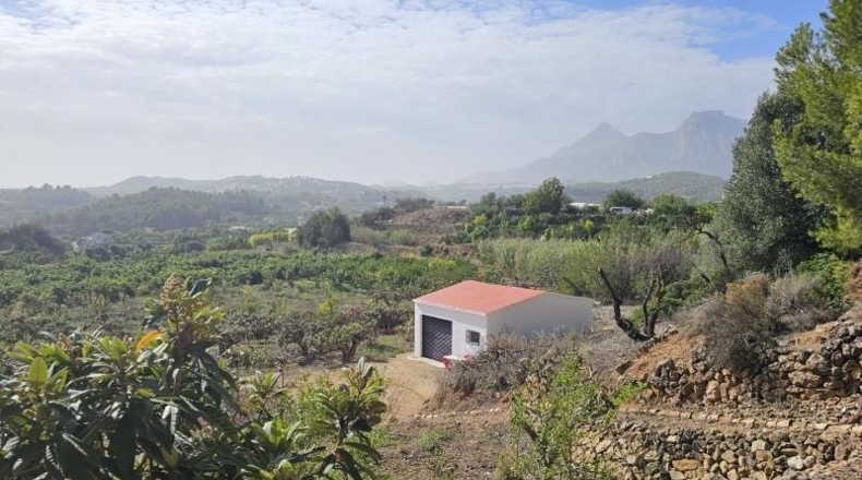 Alicante - Callosa de Ensarriá - 11000m2