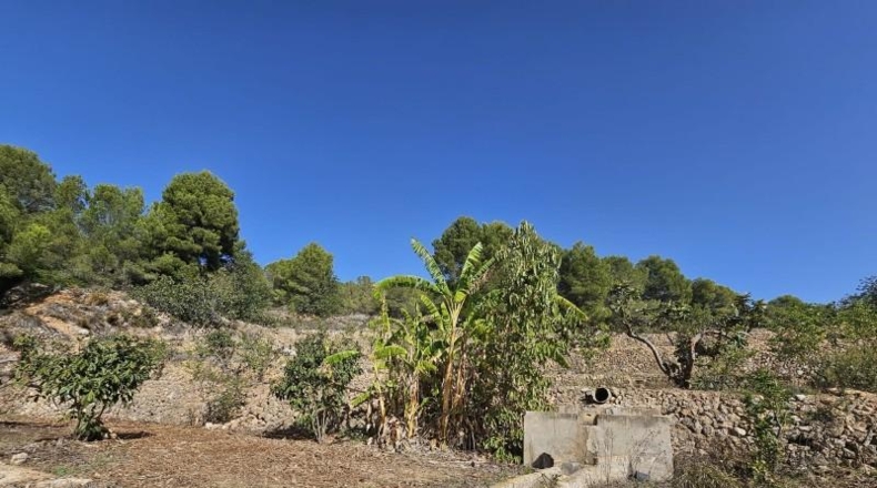 Alicante - Callosa de Ensarriá - 11000m2
