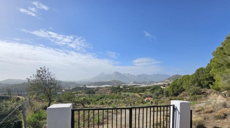 Alicante - Callosa de Ensarriá - 11000m2