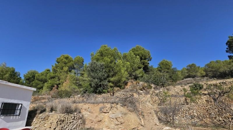 Alicante - Callosa de Ensarriá - 11000m2