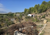 Terreny no urbanitzable en venda a la España, Callosa d'en Sarrià, ref.: TR235710 foto