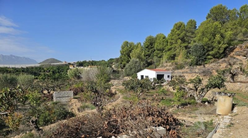 Alicante - Callosa de Ensarriá - 11000m2