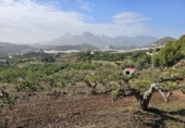 Terreny no urbanitzable en venda a la España, Callosa d'en Sarrià, ref.: TR235710 foto