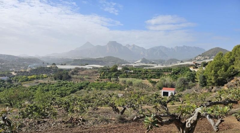Alicante - Callosa de Ensarriá - 11000m2