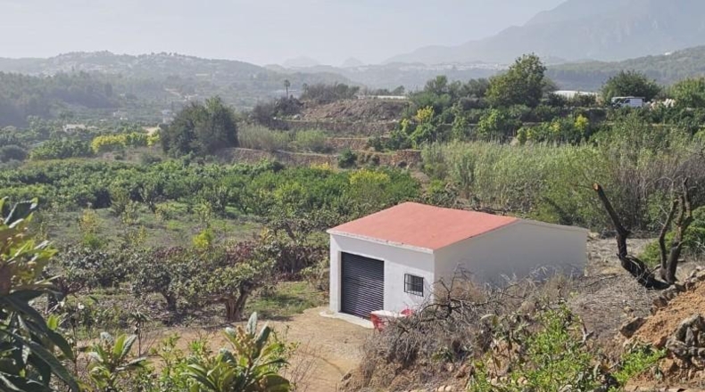 Alicante - Callosa de Ensarriá - 11000m2