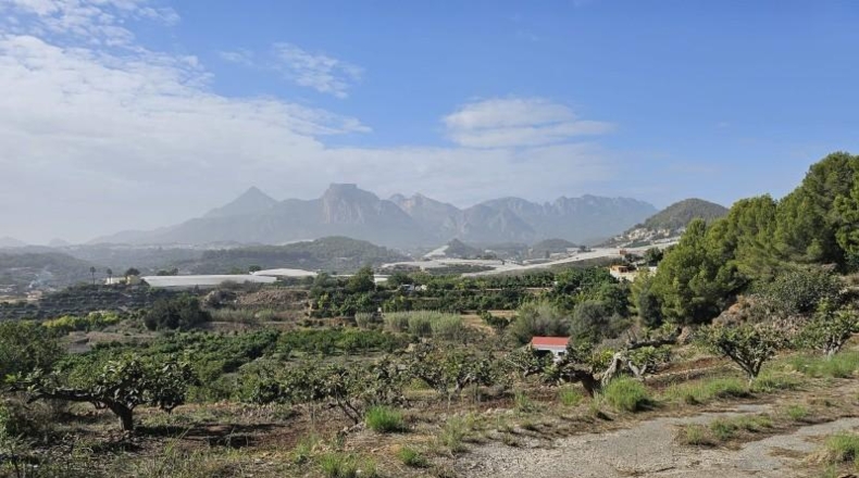 Alicante - Callosa de Ensarriá - 11000m2