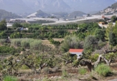 Terreny no urbanitzable en venda a la España, Callosa d'en Sarrià, ref.: TR235710 foto