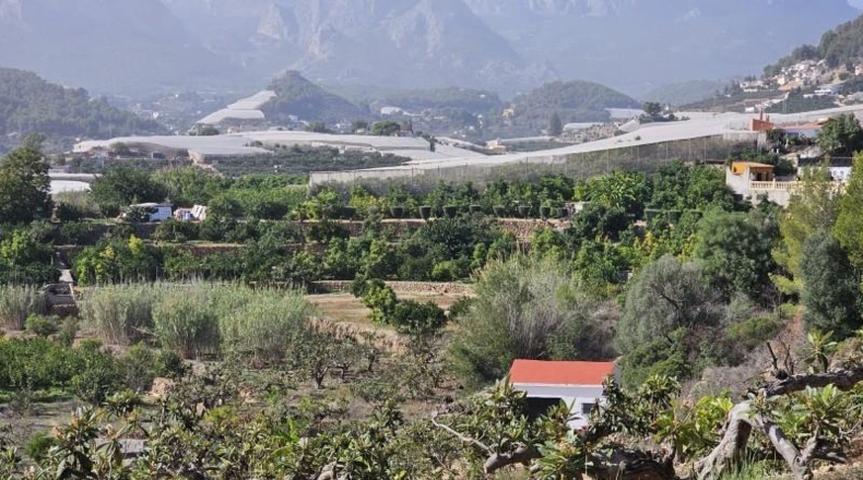 Alicante - Callosa de Ensarriá - 11000m2