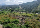 Parcel·la urbanitzable en venda a la España, San Roque, ref.: TR236661 foto