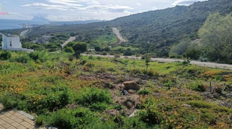 Cadiz - San Roque - 420m2